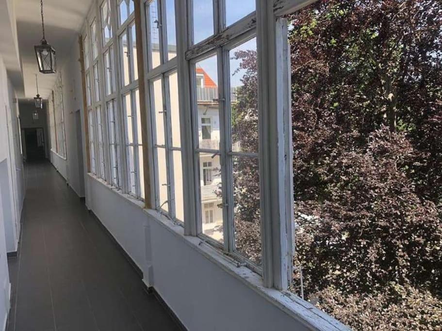Paraderma Apartment Im Zentrum Baden Bei Wien Bagian luar foto